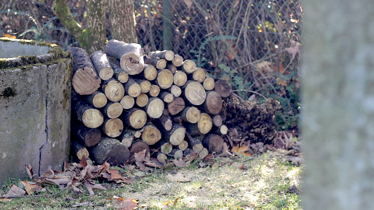 Gartentipp von «Keller & Meier Garten-Leben» | (c) ERF Medien