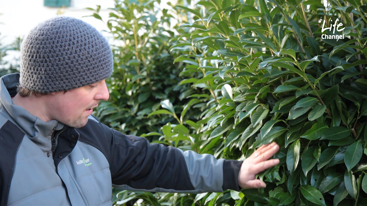 Gartentipp von «Keller & Meier Garten-Leben» | (c) ERF Medien