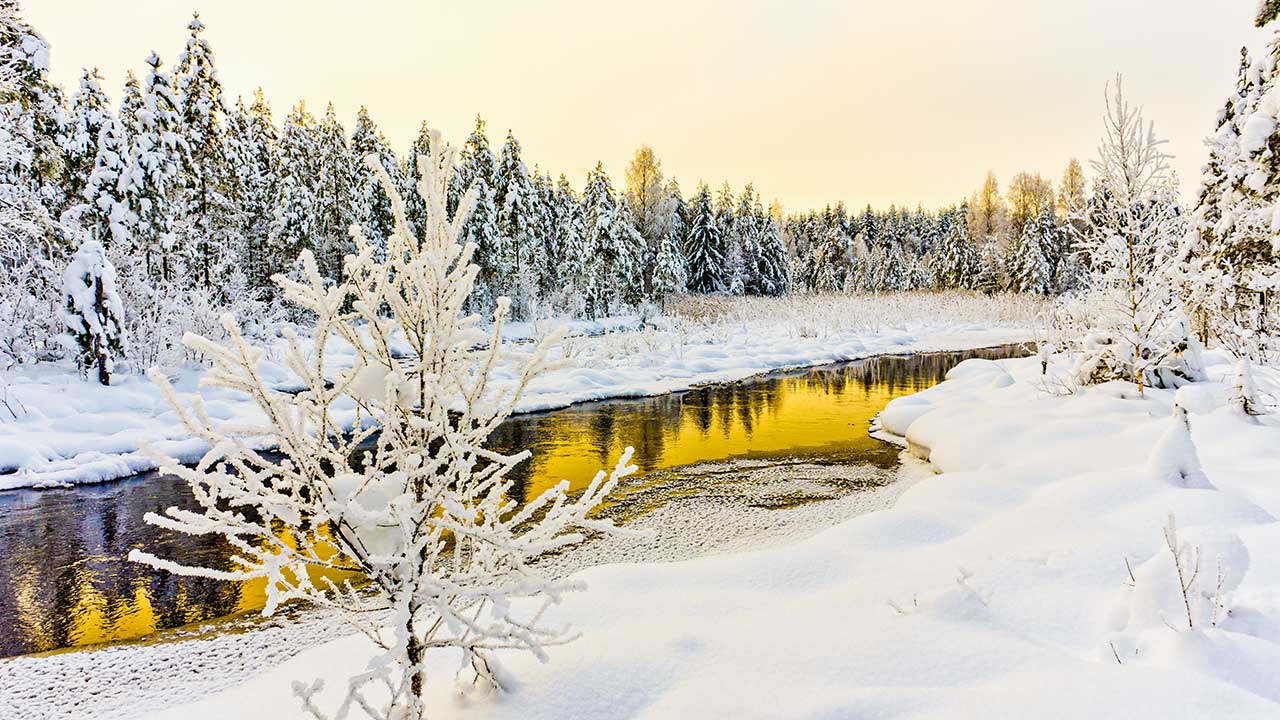 Winterlandschaft mit Fluss und Bäumen