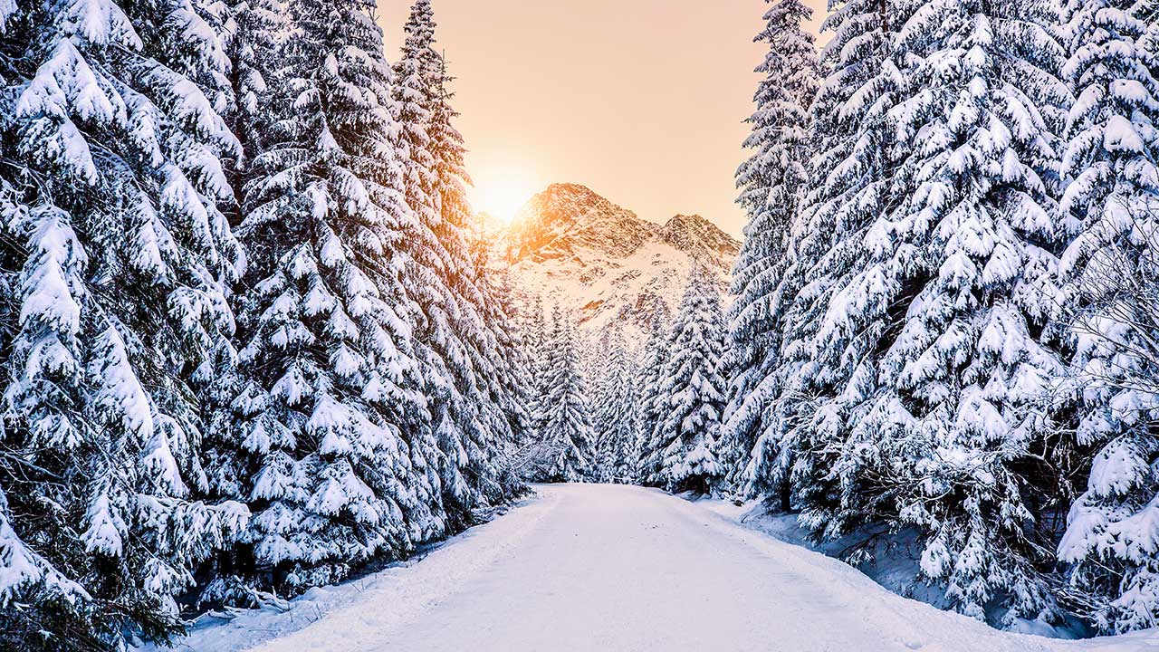 Sonne über den Bergen scheint durch den Weg eines Winterwalds