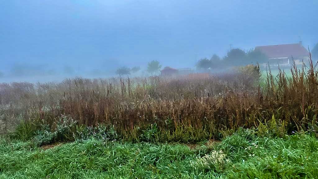 Nebellandschaft im Norden Spaniens