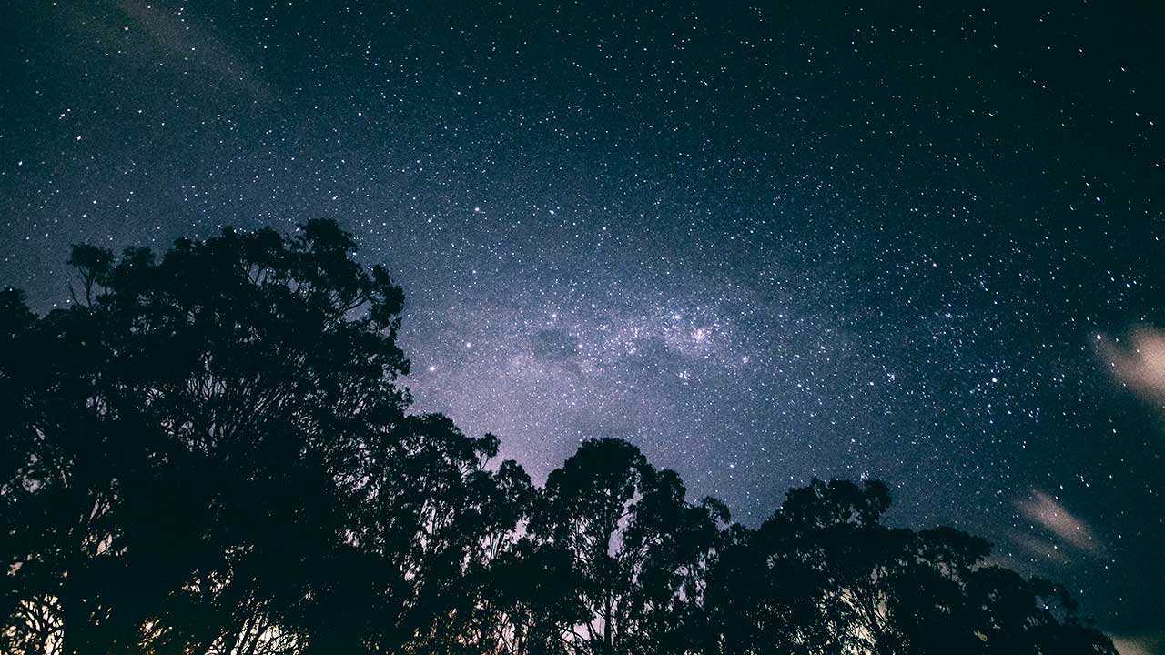 So nah und so fern: Silhouette von Bäumen und Sternenhimmel in Brisbane, Australien