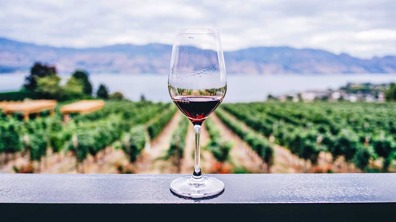 Weinglas auf einem Balkon, mit Blick auf einen Weinberg und einen See