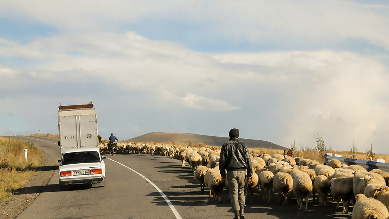 Mann unterwegs mit Schafen in Bergkarabach | (c) unsplash
