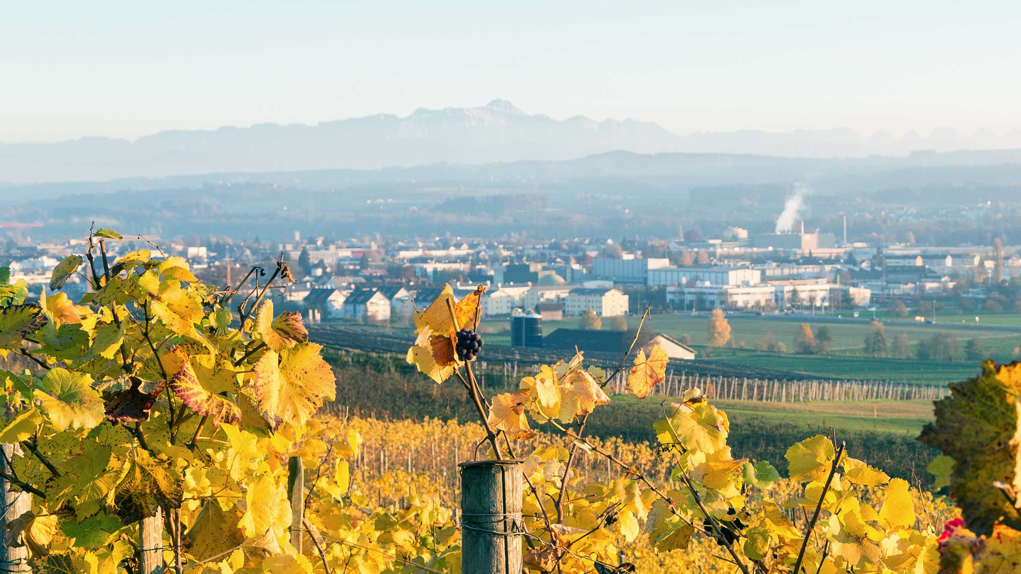 Blick vom Ottenberg auf Weinfelden