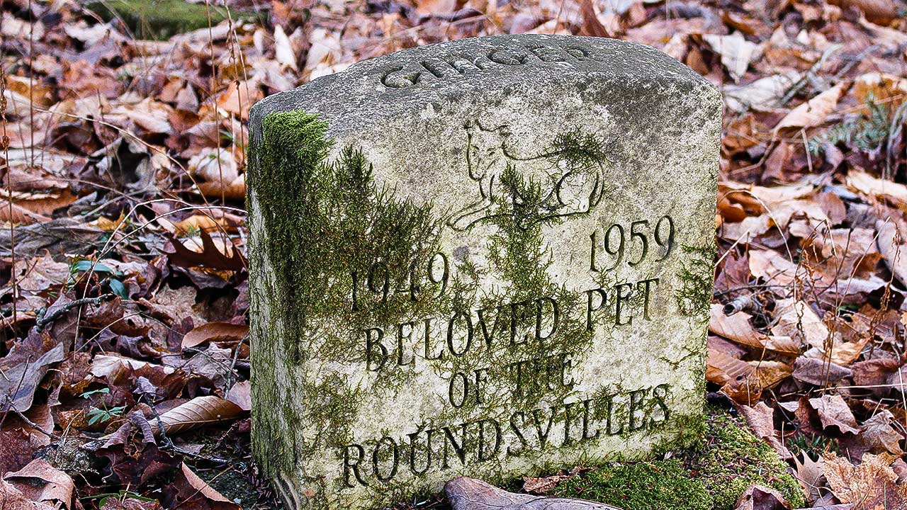 Grabstein auf einem Tierfriedhof