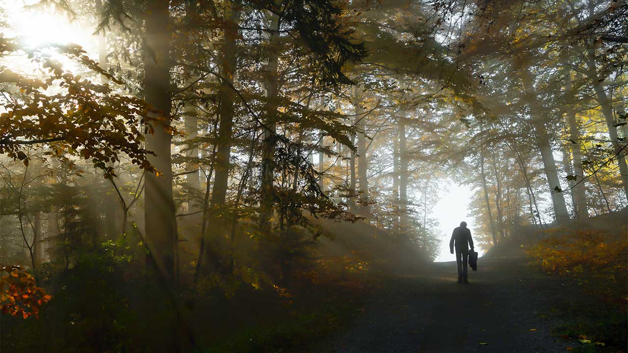 Spaziergänger unterwegs in den Wäldern des Horgerbergs