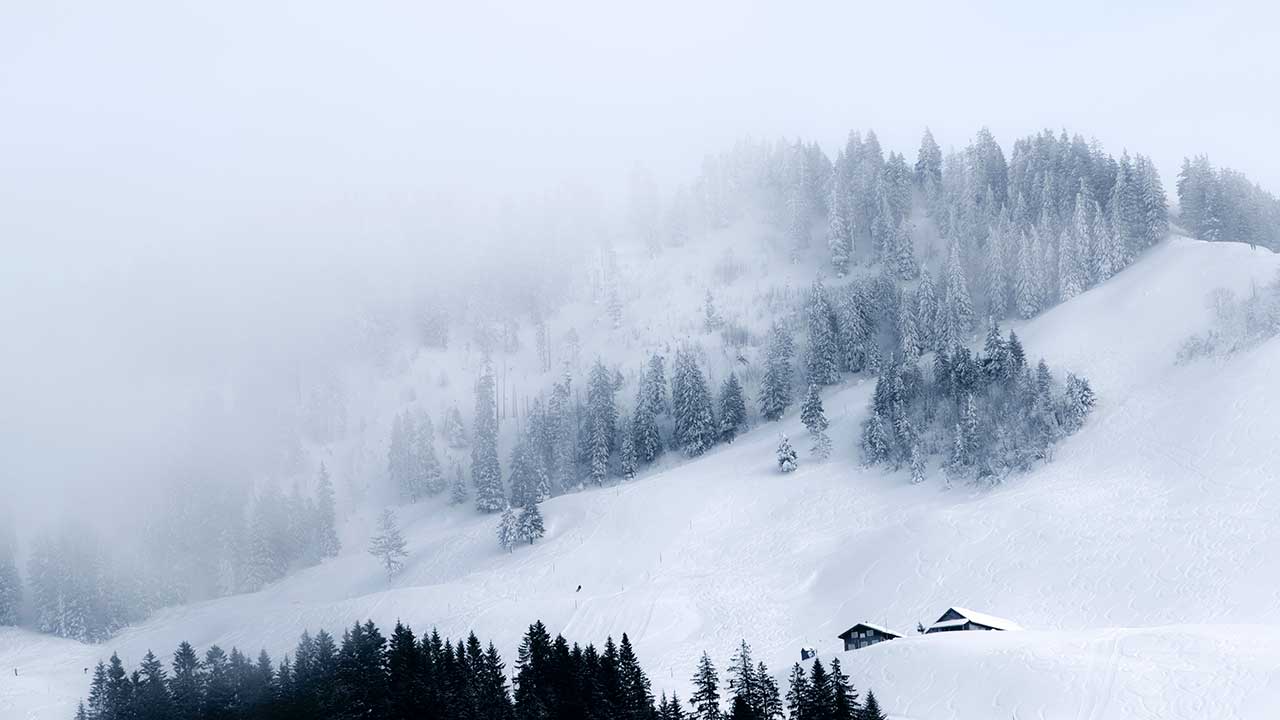 Winterliche, verschneite Landschaft mit Nebel