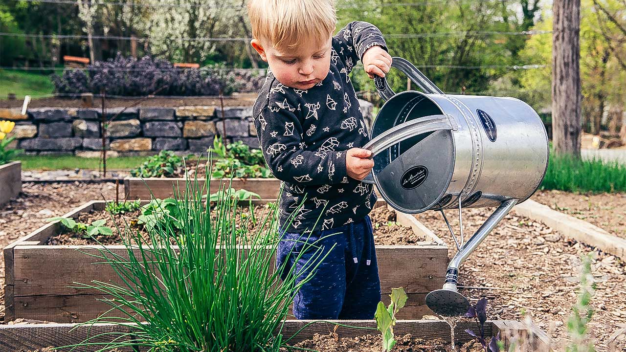 Kleine Junge giesst Pflanzen in einem Garten