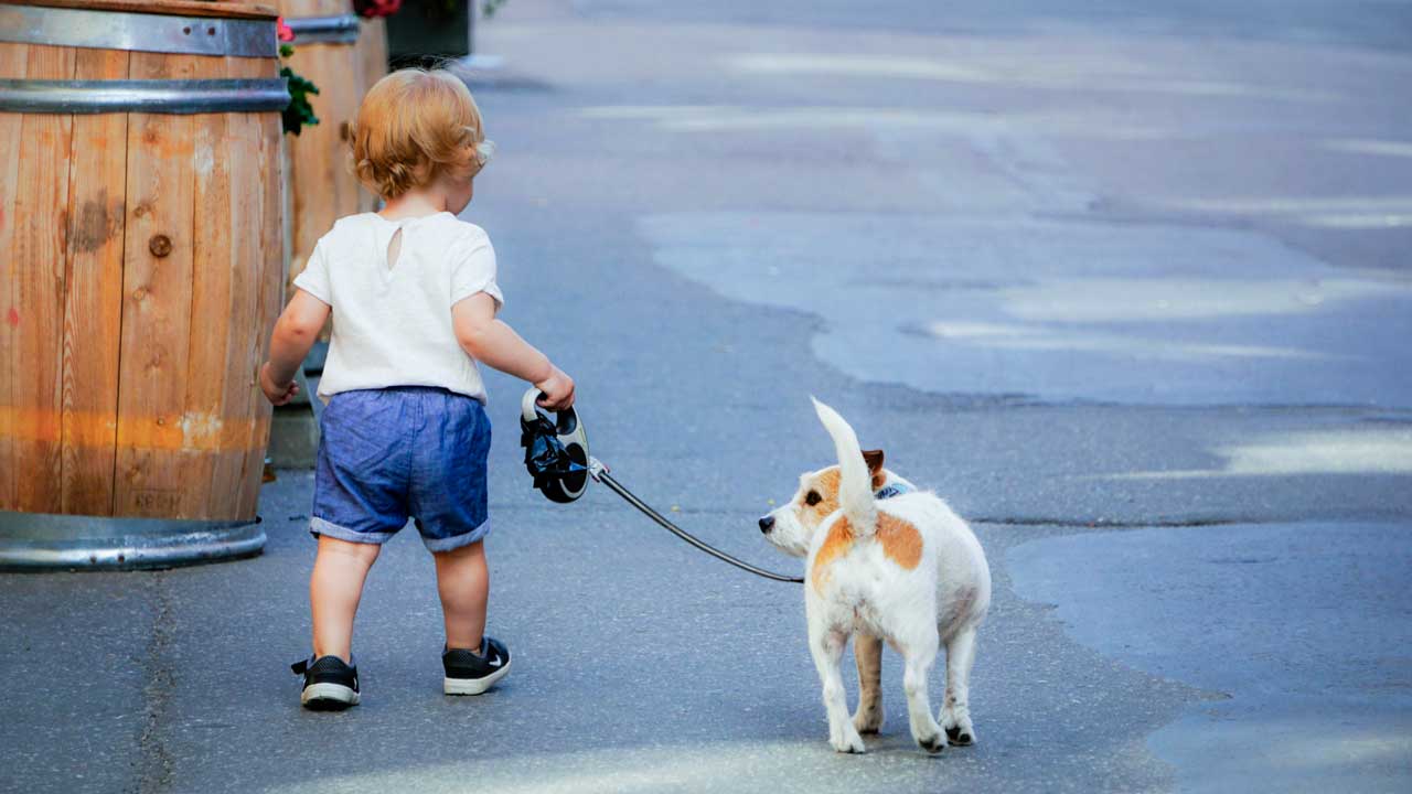 Kleines Kind spaziert mit einem Hund
