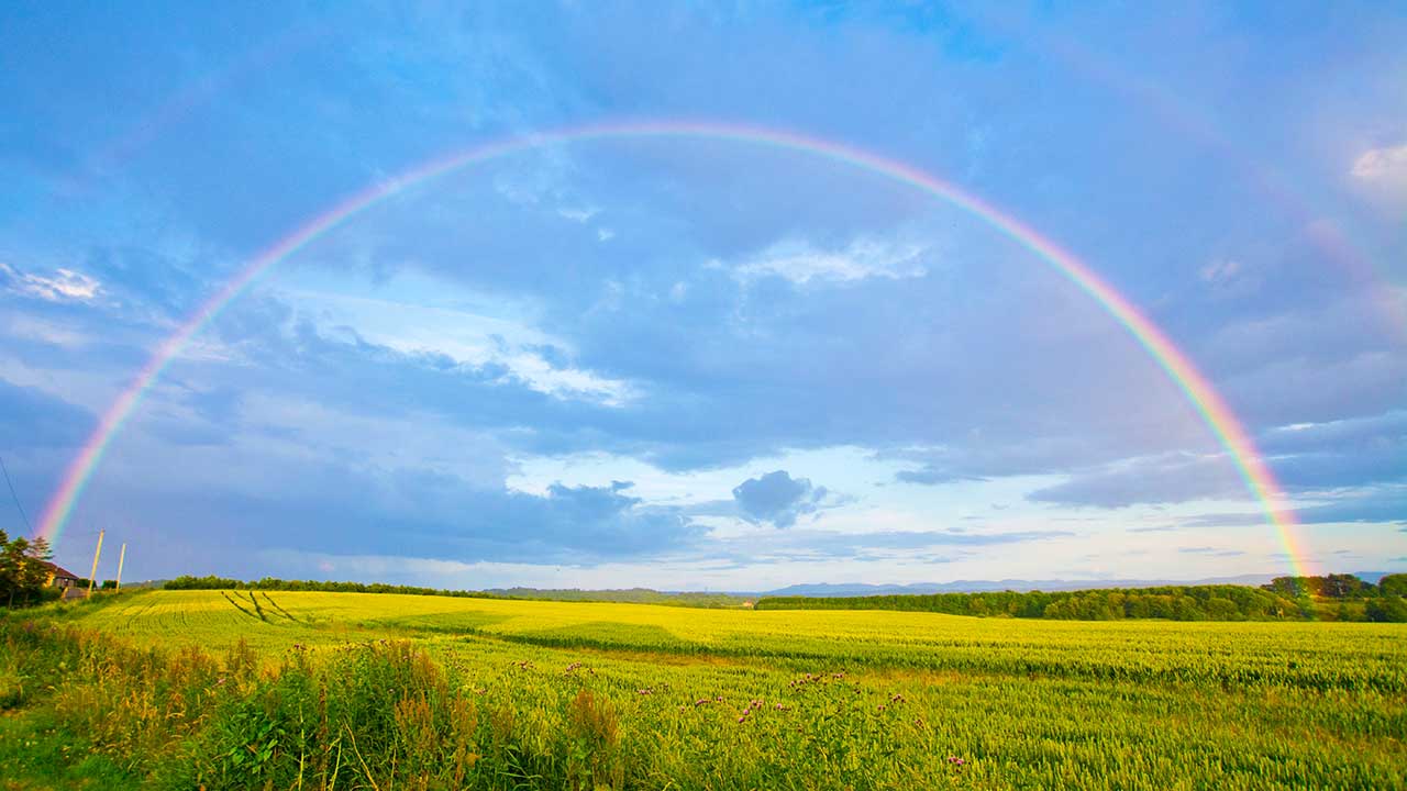 Regenbogen über einem Feld