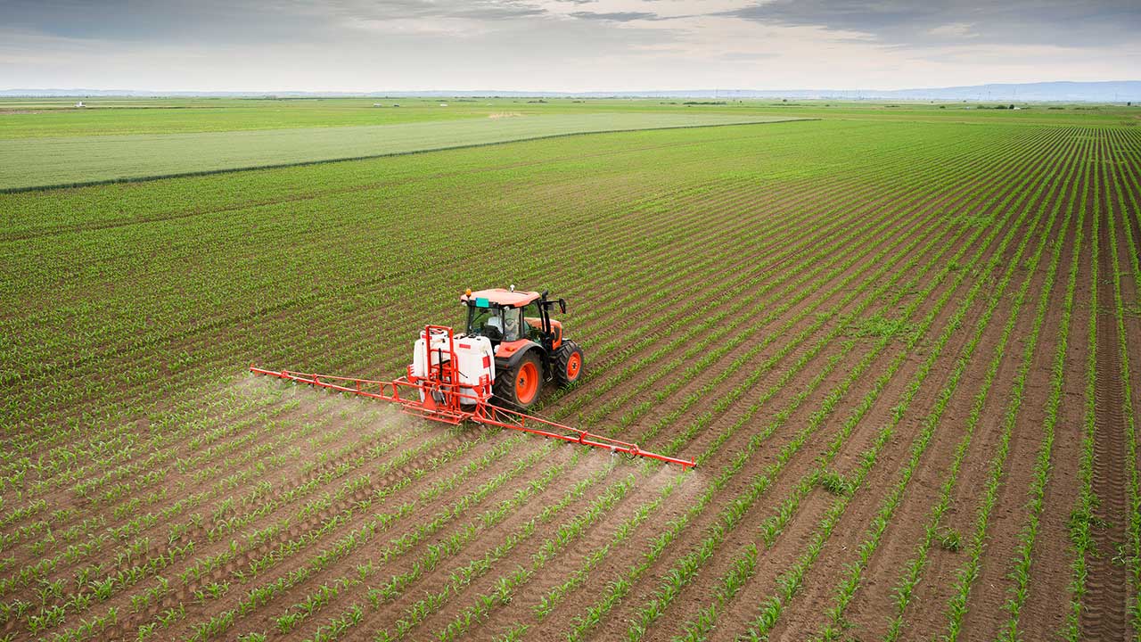 Traktor sprüht auf einem Feld Pestizid