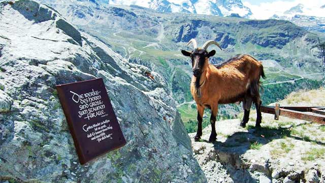 Lobpreistafel mit Ziegenbock | (c) Deo Gloria