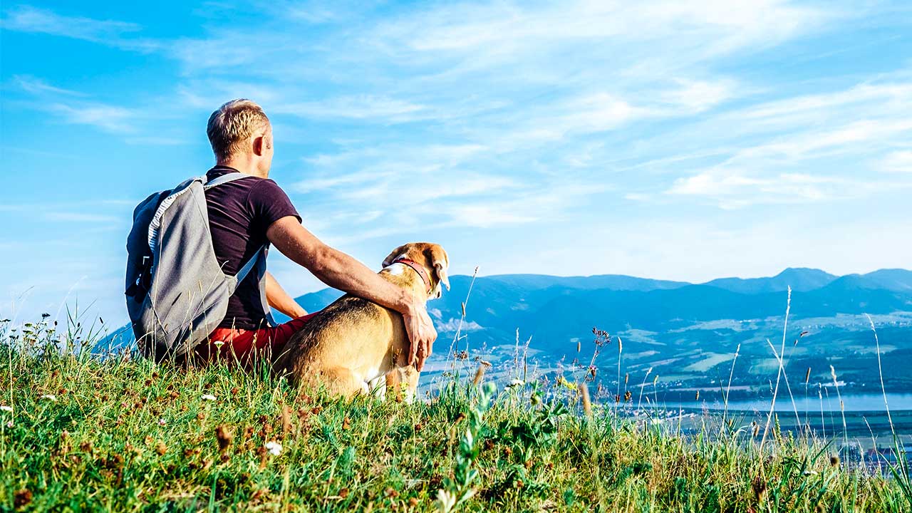 Wanderer sitzt mit seinem Hund auf einem Aussichtspunkt