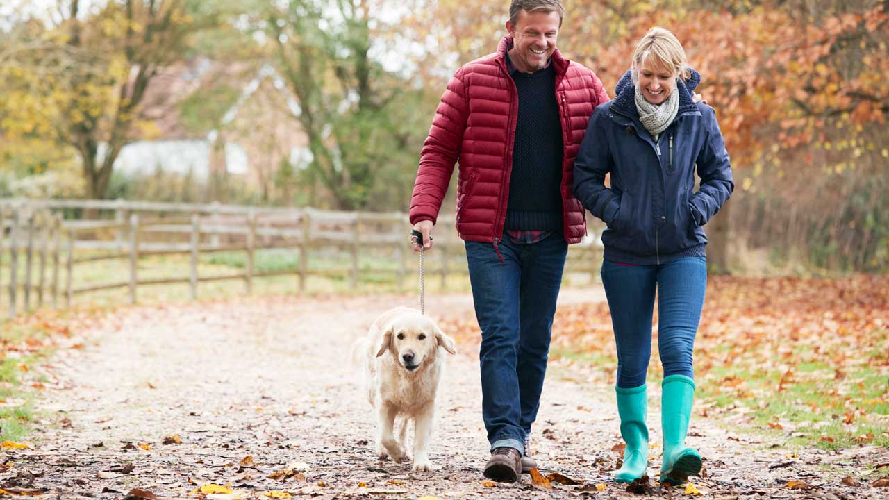 Paar spaziert mit ihrem Hund im Herbst