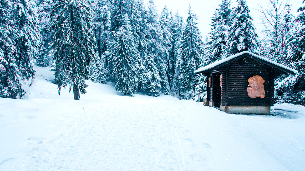 Schnee in der Sattel-Region, Schwyz