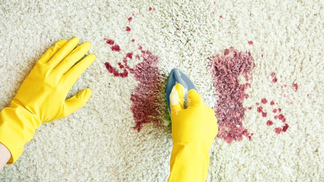 Hände in Gummihandschuhen reinigen einen Teppich