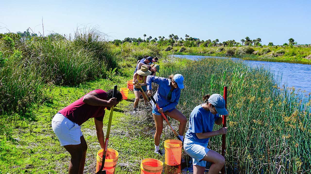 Freiwillige in den USA bearbeiten ein Flussufer