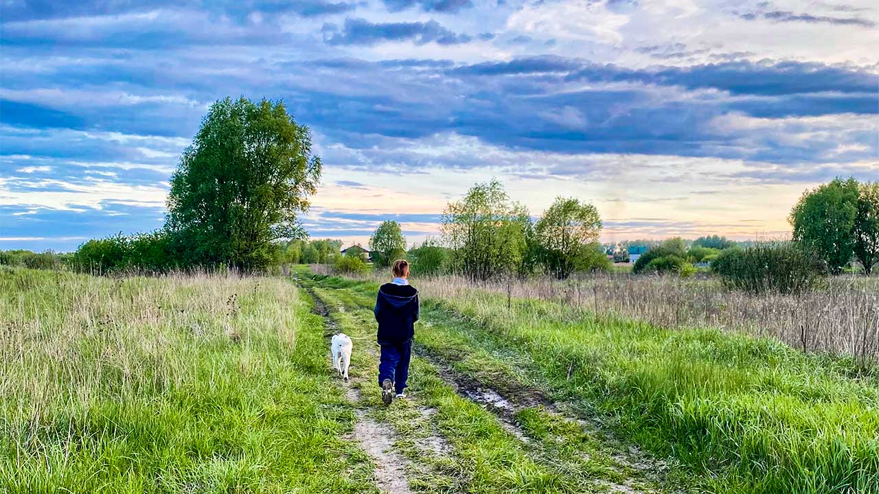 Junge spaziert mit einem Hund einen Weg entlang in der Ukraine