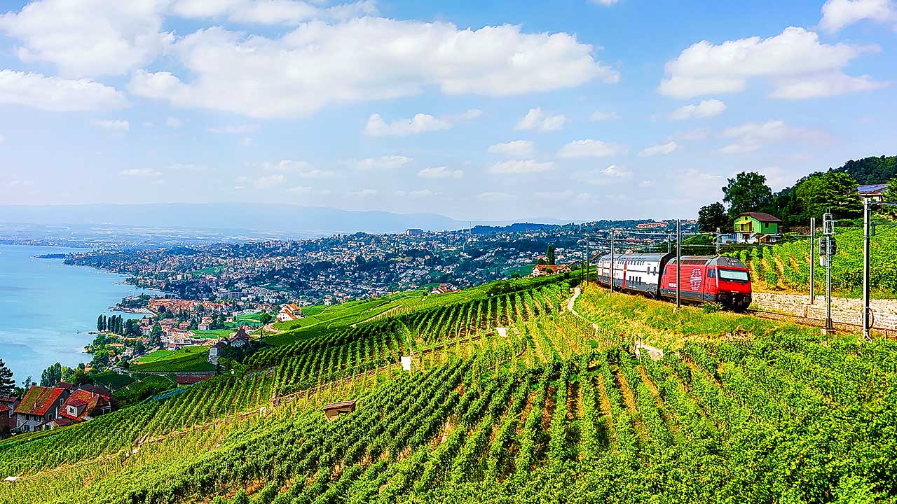 Zug fährt durch die Weinberge von Lavaux VD am Genfersee