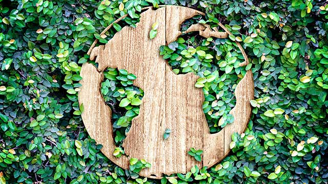 Holzschablone - Nachhaltigkeit im Grünen