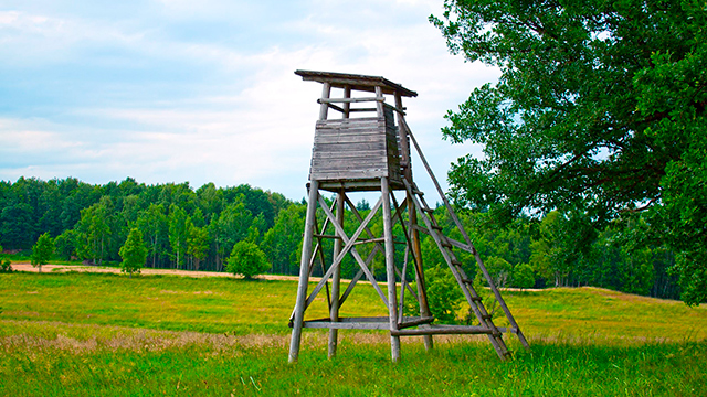 Hochsitz am Waldrand