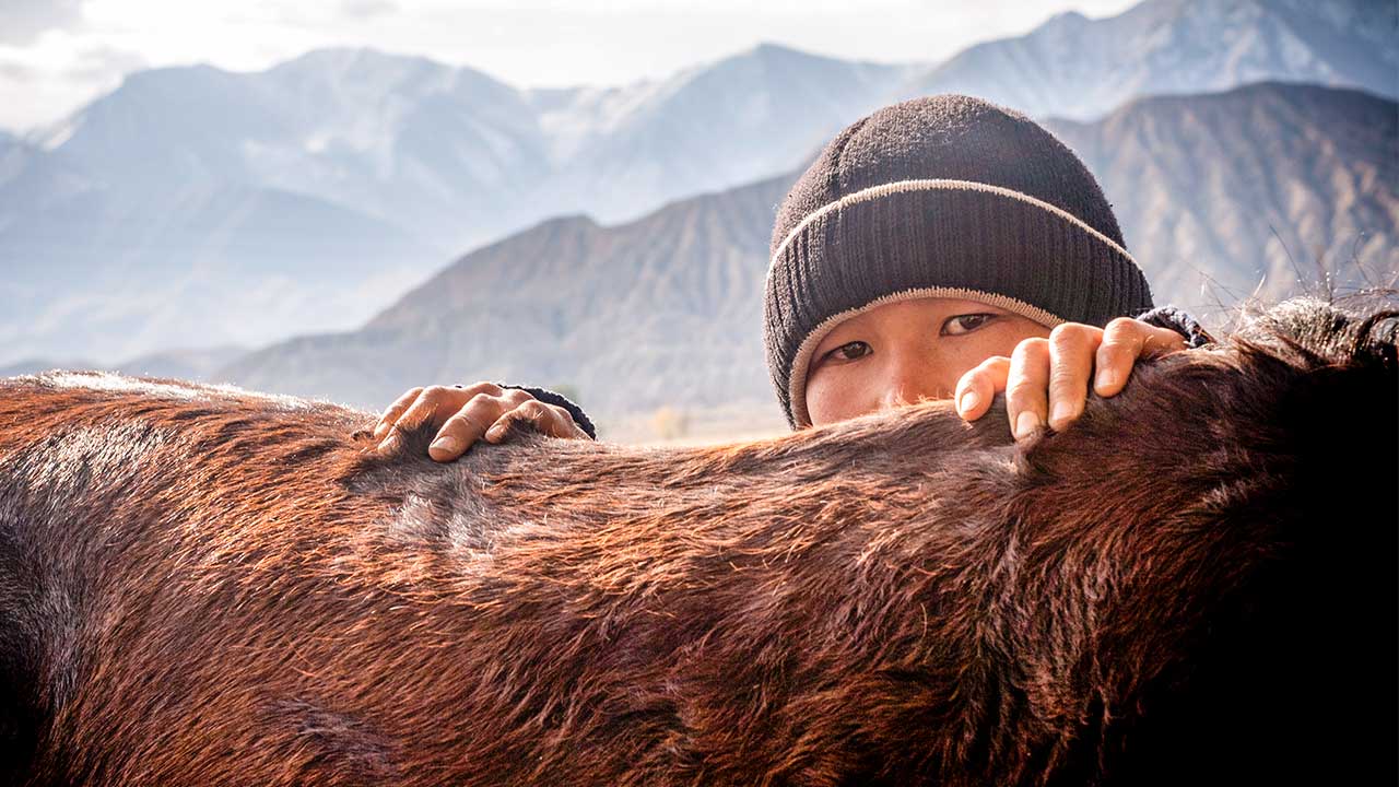 Person in Zentralasien blickt über ein Tier