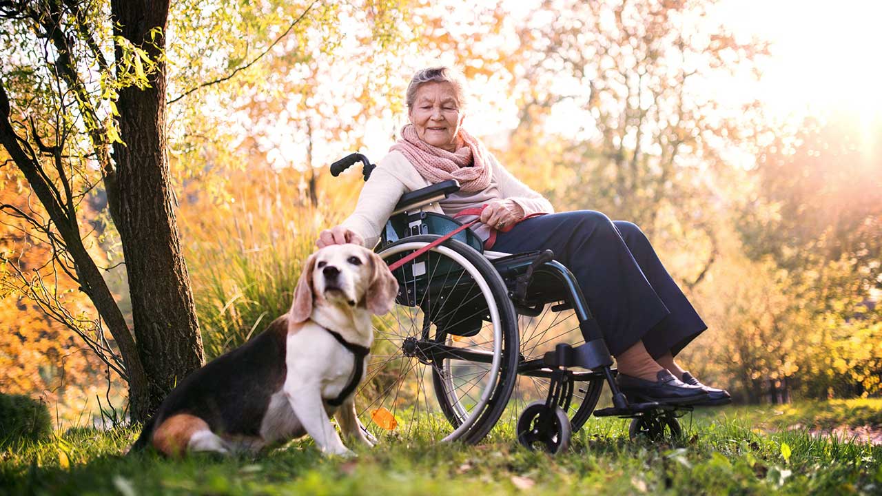 Frau im Rollstuhl geniesst mit ihrem Hund den Herbst