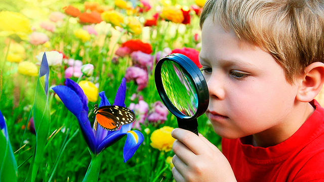 Frühling Natur