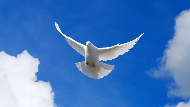 Heiliger Geist in Form einer Taube